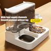 Automatic Cat Feeder 2-in-1 Pet Food Feeder And Water Dispenser with Stainless Steel Bowl for Small Medium Cats And Dogs