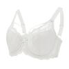 Sexy Lace Bras for Women Push Up Bra Plus Size Underwire Brassiere Intimate Ladies Lingerie 34 To 52