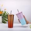 Stainless Steel Straw Cup with Lid Reusable Double-Layer Bottle Portable Thermo Juice Milk Coffee Mug Fashion Drinkware 500ml