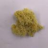 L&B Artificial Plant Preserved Flower Reindeer Moss DIY Craft Garden Home Decor