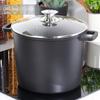 Granite High Pot with Glass Lid 7.6L 25cm