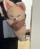 New Plush Animal Doll Crossarm Bag Anke Pop up Week SKZ Fans K-pop Birthday Gift Children Adult Gift Decoration