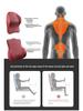 Aviation-Grade Memory Foam Car Neck and Lumbar Support Pillow