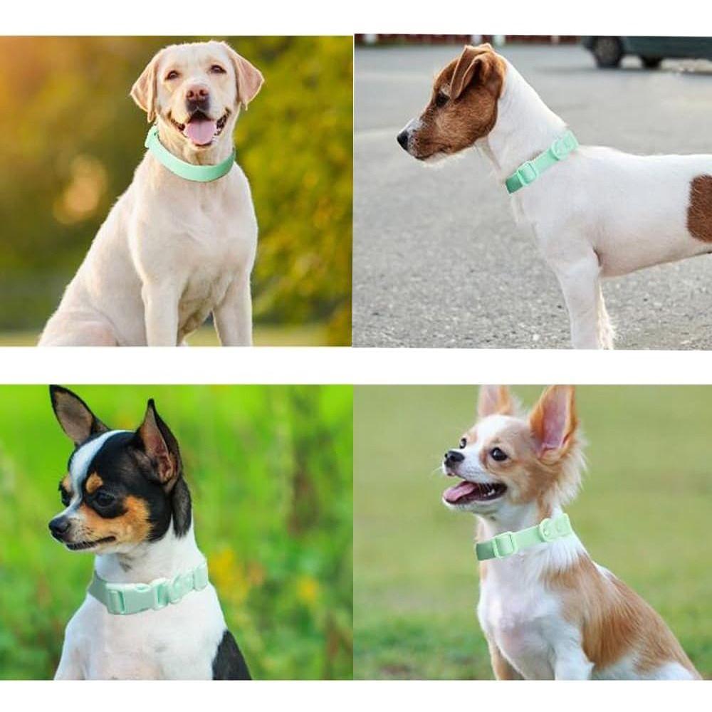 Adjustable Waterproof Dog Collar Pet Identification Safety Buckle Chain Fashion Pet Collar Puppies