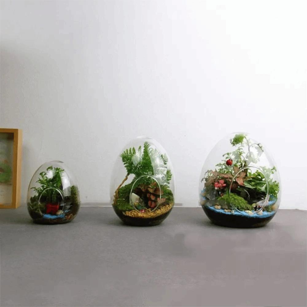 Exquisite Succulent Glass Vase Transparent Micro Landscape Moss Bottle Hydroponic