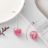 Creative Dried Flower Cherry Drop Earrings For Women