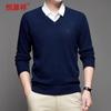Hengyuanxiang Men's Pure Cashmere V-Neck Sweater