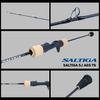 Daiwa Rod 21 Saltiga SJ AGS TG 55B-3
