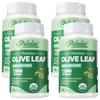 Pslalae - Olive Leaf Capsules - Immune Health