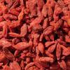 15 GOJI BERRIES "ABOUT 300 Seeds We Ship the Dried Berries -FRESH SEEDS