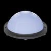 Jingzao Half-Round Balance Bosu Ball
