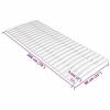 VidaXL Latte de rechange pour sommier avec 24 Lattes Base de Lit Cadre de Lit Support de Lit de Jour Chambre à Coucher 340076