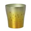 HORIE Made In Niigata Prefecture Pure Titanium Double Tumbler Hana Titanium 250cc Akane Brown Tsubame, T-15-AA250BR