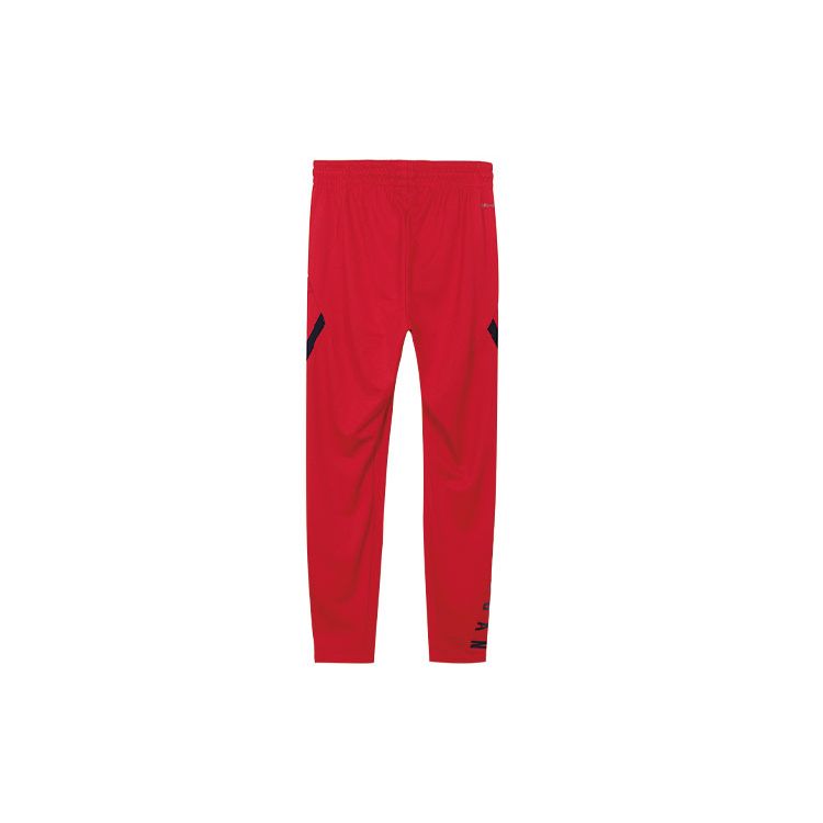 Брюки Air Jordan 23 Alpha Dri-Fit Training Мужские Брюки красные 889712-687