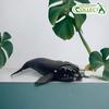 Collecta Southern Right Whale, Popular Toys In Korea