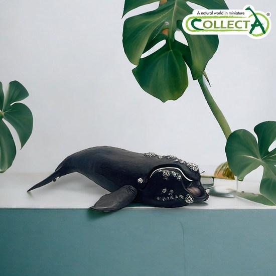 Collecta Southern Right Whale, Popular Toys In Korea