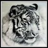 5D Diy Алмазная картина Животное Тигр Имитация Набор для вышивки крестом может быть настроена подарки ручной работы Ремесла Украшение дома