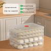 Dumpling Freezer Box - Fresh-Keeping and Quick-Freezing Storage for Wontons, Dumplings & Noodles