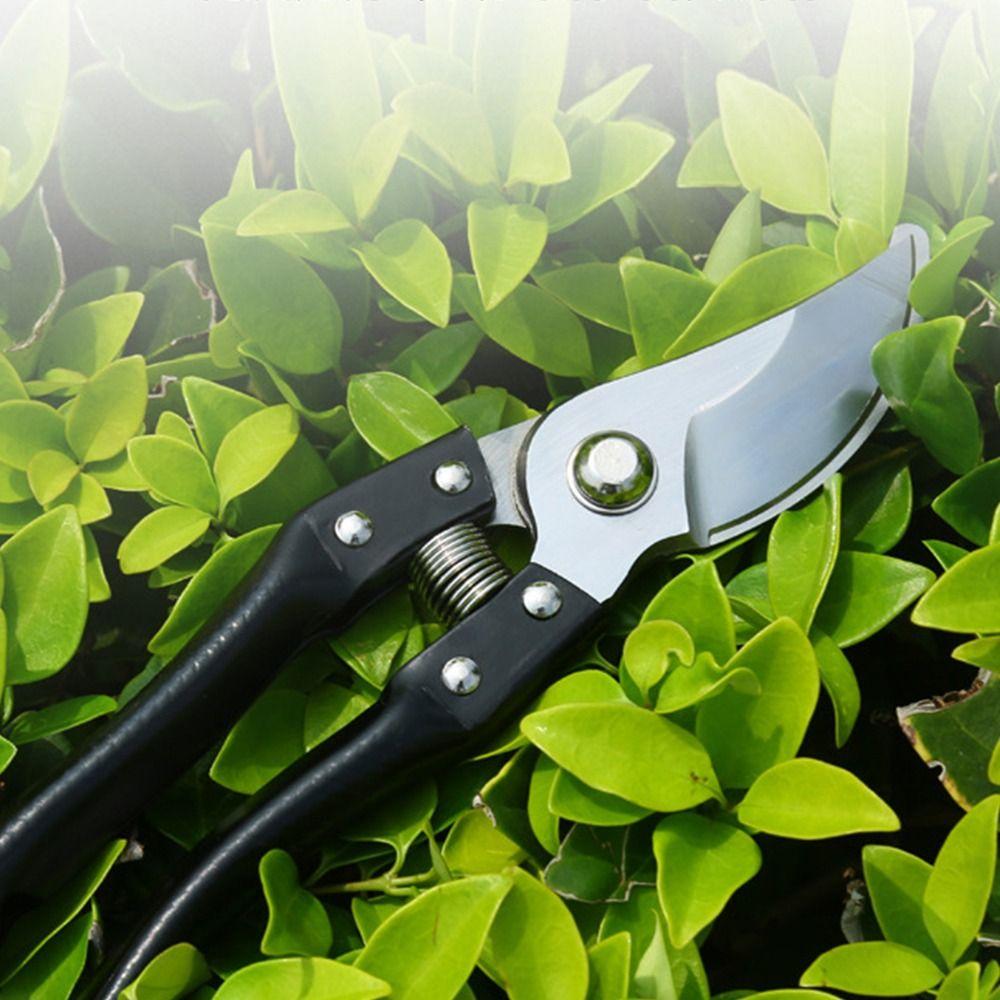 Весенние секаторы Садовые секаторы Экономящие труд Многофункциональные садовые ножницы Сельское хозяйство