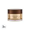 Create Skin Super Aqua Увлажняющий крем для лица с женьшенем, высокая степень увлажнения, 50 г, 3 шт.