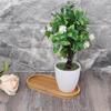 Oval bamboo tray, natural dessert cup tray, small wooden cheese board