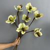 Real Touch Artificial Orchid Flowers Branch 3D Printed Faux Phalaenopsis Branches  Home Decor
