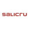 Salicru ВНУТРЕННЯЯ SNMP-КАРТА