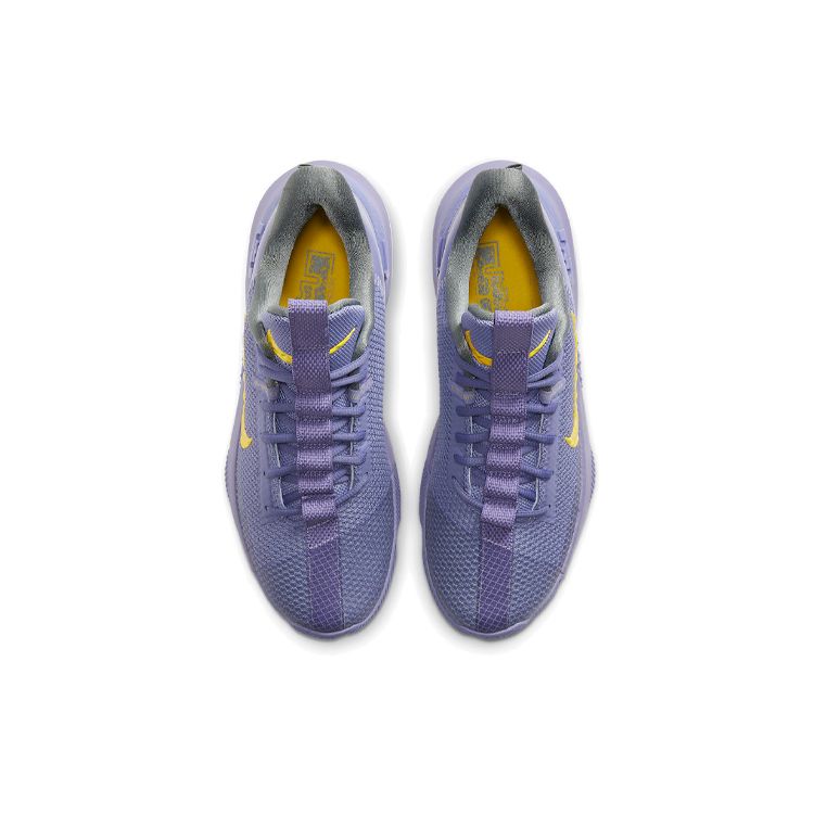 Nike Мужские кроссовки LeBron Ambassador 13 Lakers фиолетовые темно-фиолетовые дымчато-пепельные CQ9329-500
