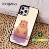 Милый C-Капибара F-Забавный Чехол для Телефона Для iPhone 16,15,14,13,12,11,Pro,Max,Plus,Mini, Magsafe,Магнитный Чехол для Беспроводной Зарядки