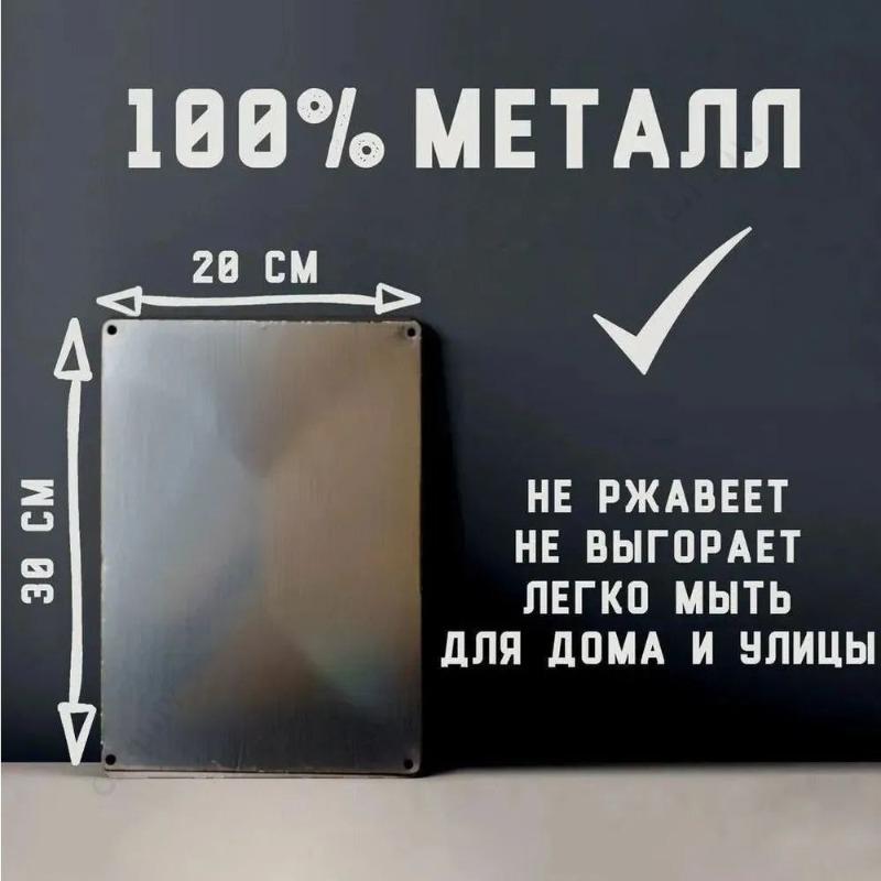 Beware! Evil Cat Metal Sign 20x30cm, Funny Fence Gate Warning Plaque