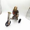 1 комплект велосипеда для обучения попугая, игрушка, забавная птица, какаду, корелла, ара, попугайчик, мини