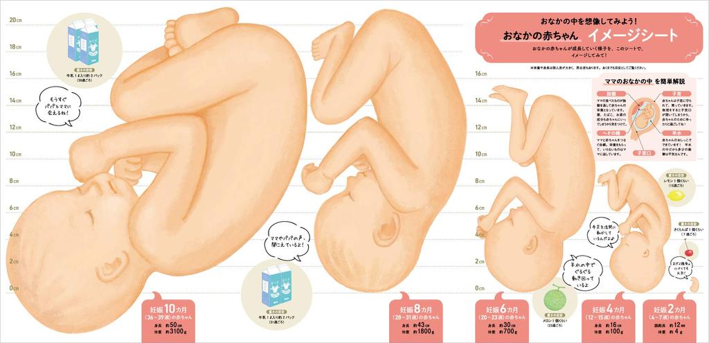 Последний! Первая беременность и роды Новая энциклопедия мини (Бенессе Мук Тамахиё Книги Новая серия энциклопедии Тамахиё)
