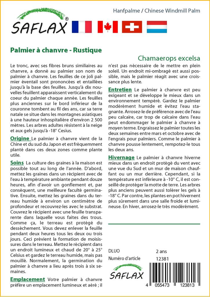 SAFLAX Пальма китайской ветряной мельницы - 10 семян - С горшечным субстратом для лучшего выращивания - Chamaerops excelsa