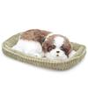 Nini and Kino Perfect Pet Shih Tzu Plush Toy Dog Dog Realistic Miscellaneous Goods Animal Healing Moving Present Gift Celebration Cute Dog Stuffed Toy