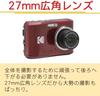 Kodak Compact Digital Camera FZ45 AA Battery Operated Red Battery SD Card Pouch of 4 + + + (Grey) (Total Items)