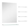 VidaXL Wall Mirror with 5 Shelves Silver 50 X 60 Cm