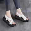 Summer Fashion Casual Sandals Set Toe Thick Sole Platform Sandals High-heeled Fish Mouth Shoes for Women