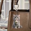 2 шт. Брелок 2D Дизайн Кошки Акриловый Шарм Брелок для Рюкзаков Сумок Машин Декоративный Подвеска Аксессуары