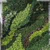 60*40 см Искусственная стеновая панель из растений Цветочная DIY Искусственный ковер из эвкалипта Прочная УФ-защита Искусственная папоротниковая трава