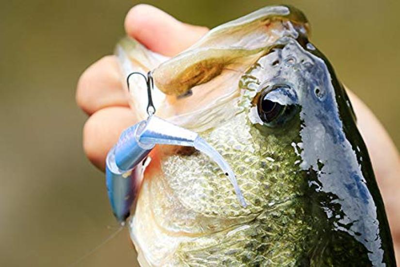 Shimano Bantam Bt Bait 99SS Freshwater Plug Kyorinugui Freshwater (SHIMANO) ZR-599T Lure, 015, Bass, Lakes, Dams, Ponds, Rivers,