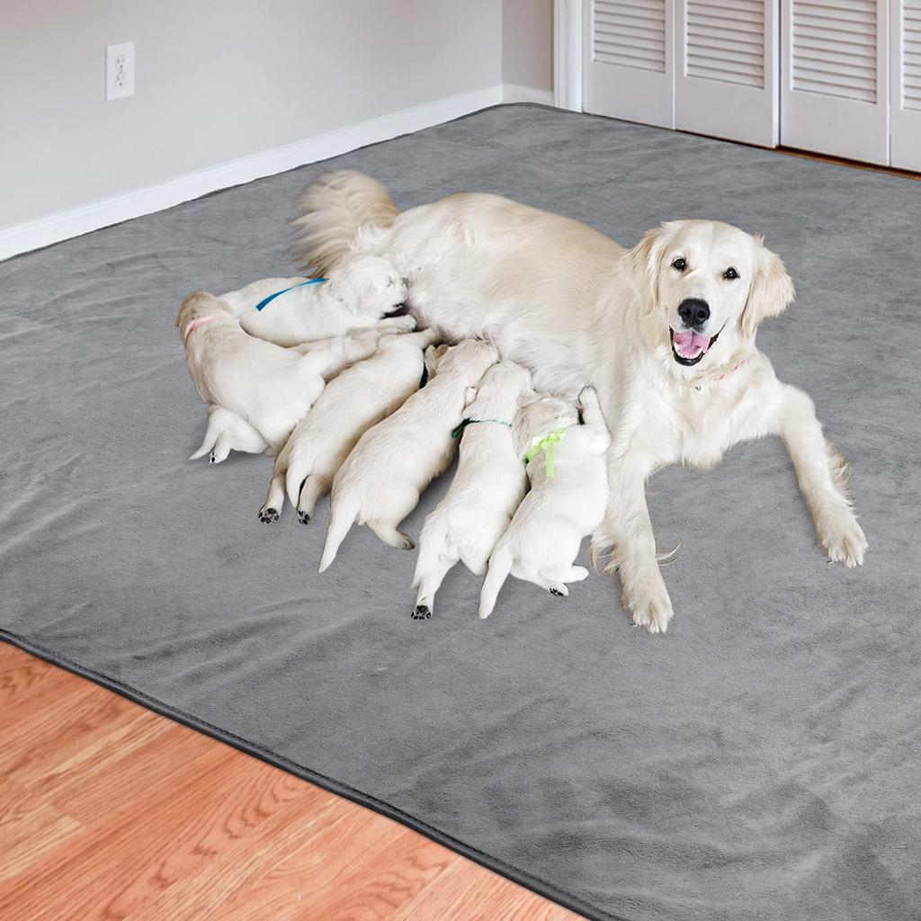 LOOBANI моющийся подстилка для туалета для домашних животных Pet Pet Wee Pet, быстрое выхаживание, супер многоразовый водонепроницаемый коврик, помогающий собакам с мочеиспусканием, идеально подходит для нескольких домашних животных