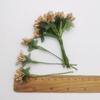 12/144 шт. Проволочный стебель DIY Свадебное украшение Товары для вечеринки Коробка Искусственный цветок Искусственный цветок Домашний декор Ягоды Тычинка