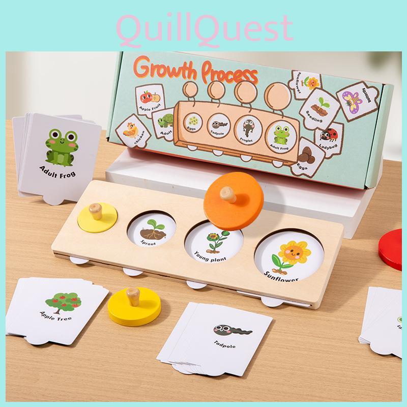 Цикл роста Монтессори Пазл Деревянная Развивающая Игрушка Для Обучения Дошкольников