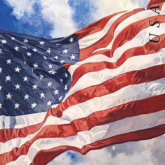 40 шт. штамп-наклейка с рисунком американского флага, прозрачная печать, водостойкая, устойчивая к выцветанию, бесследная печать