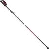 Mizuno Nordic Walk Folding Walking Poles Set of C3JTPB10 4-Section LITE, 2, Unisex, Red,