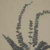 Hill Interiors Flora & Fauna Collection Spleenwort Beaded Linen Framed Wall Art