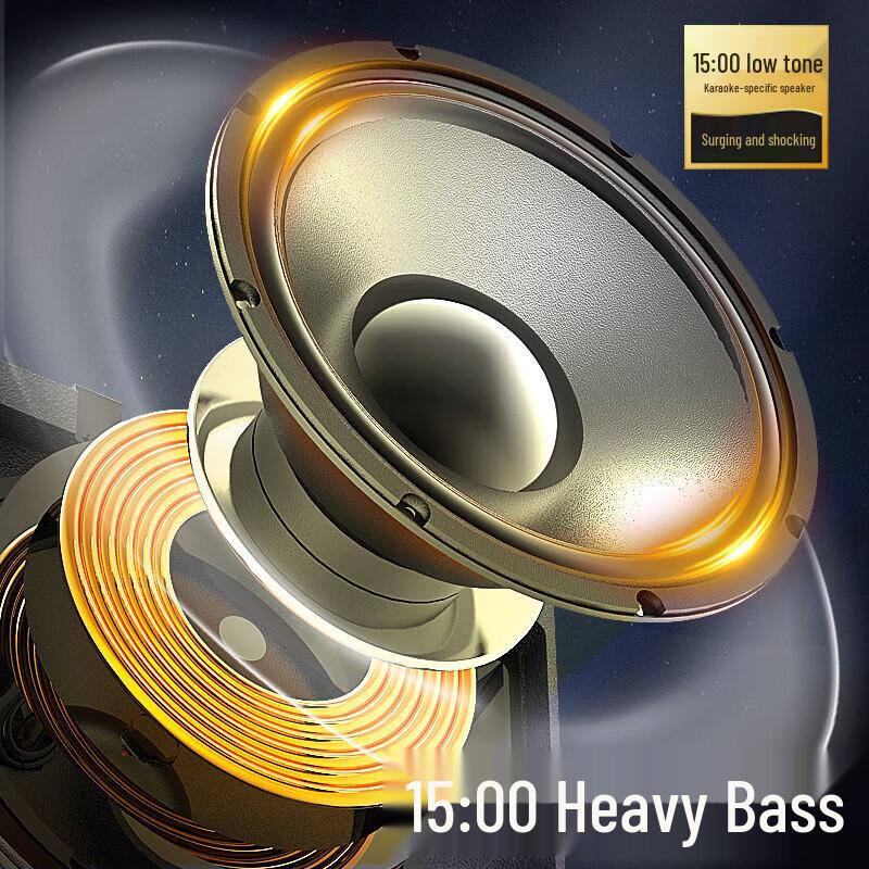 SANSUI Portable Outdoor KTV Speaker with Display