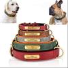 Personalized Custom Dog Collar with Engraved Lettering and Anti Loss Leather Collar