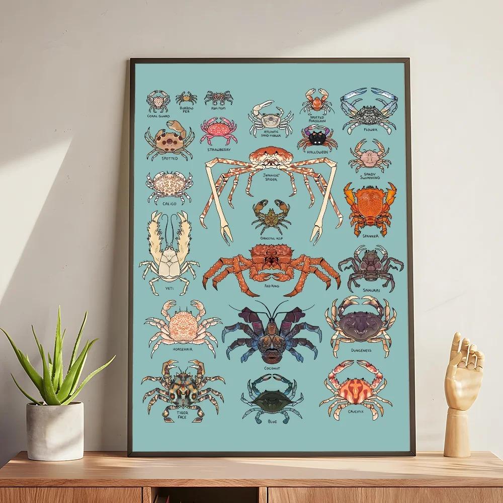 Whale and Shark Seashells Turtles Octopus Fish Marine Life Ocean Animals Poster and Print Canvas Painting Wall Art Home Living Room
