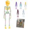 Skull Fridge Magnets with Movable Joints Halloween Poseable Skeleton Fridge Magnet Quirky